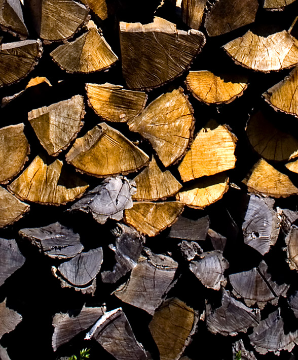 Photography by majkus for DesignCrowd (Community Contests) | Design #9012221