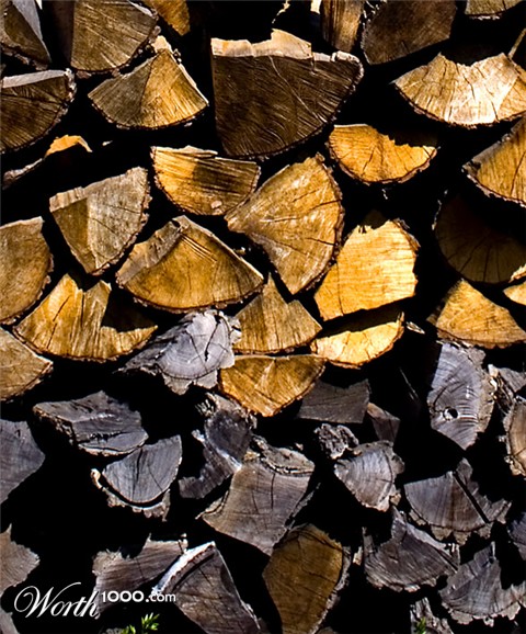 Photography by majkus