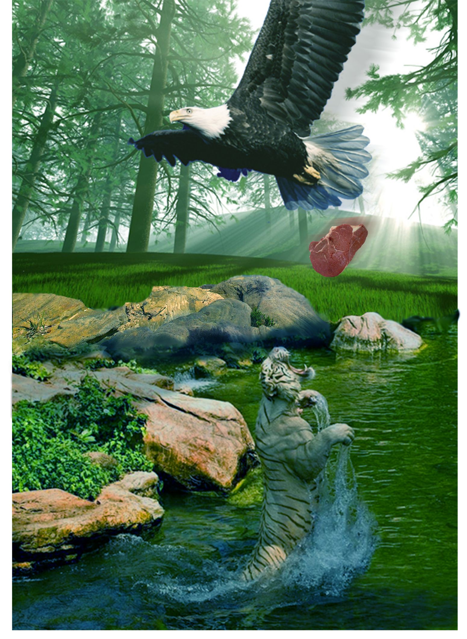 Photoshop Design by q121212 for DesignCrowd (Community Contests) | Design #9008302