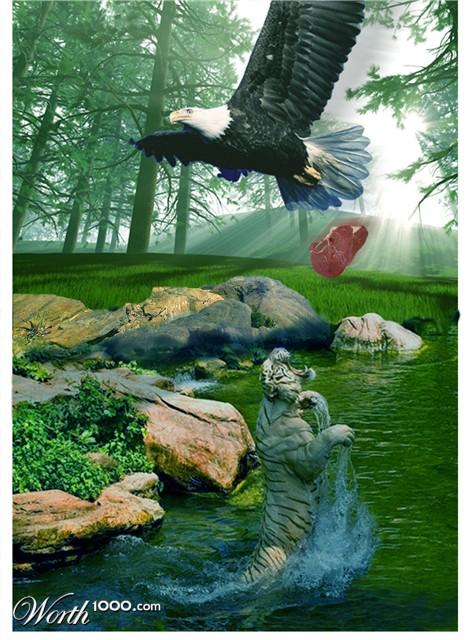 Photoshop Design by q121212
