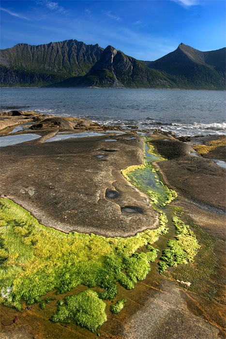 Photographie par elchkuh pour DesignCrowd (Community Contests) | Design #9010083