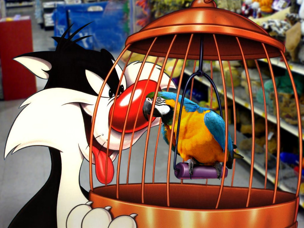 Photoshop Design by HopePhoto for DesignCrowd (Community Contests) | Design #9009639