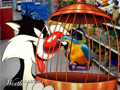 Photoshop Design by HopePhoto