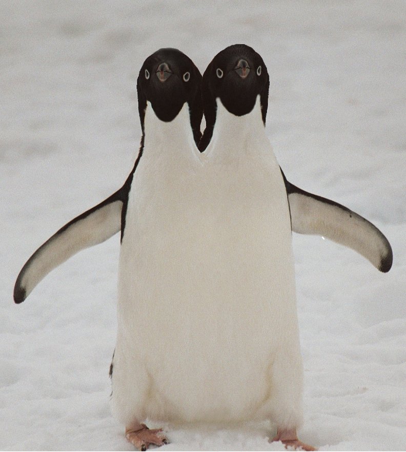 Photoshop Design by JClark8220 for DesignCrowd (Community Contests) | Design #9009630