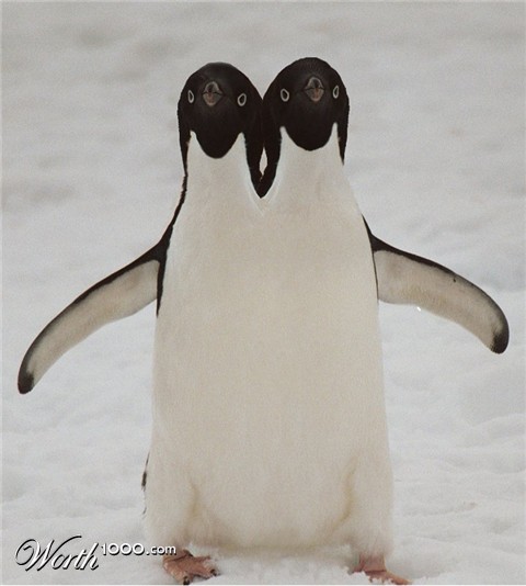 Photoshop Design by JClark8220