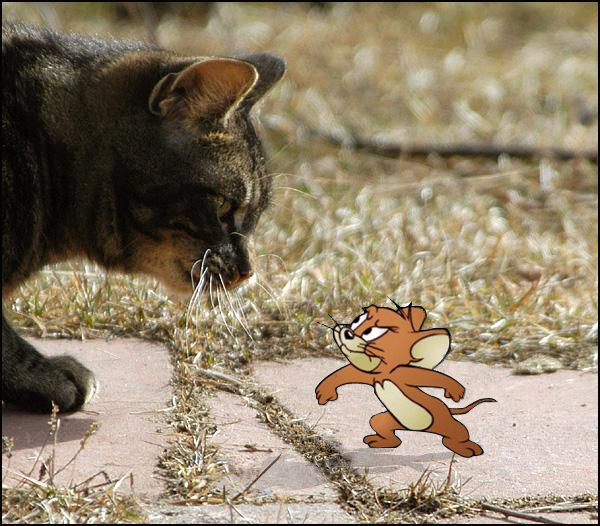 Diseño de Photoshop por JJCoates para DesignCrowd (Community Contests) | Diseño #9009822