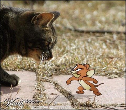 Photoshop Design by JJCoates