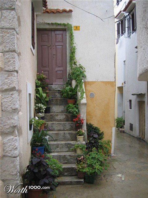 Photography by Zampino