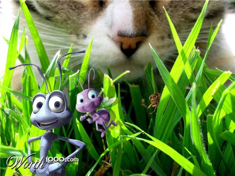 Photoshop Design by melian1224