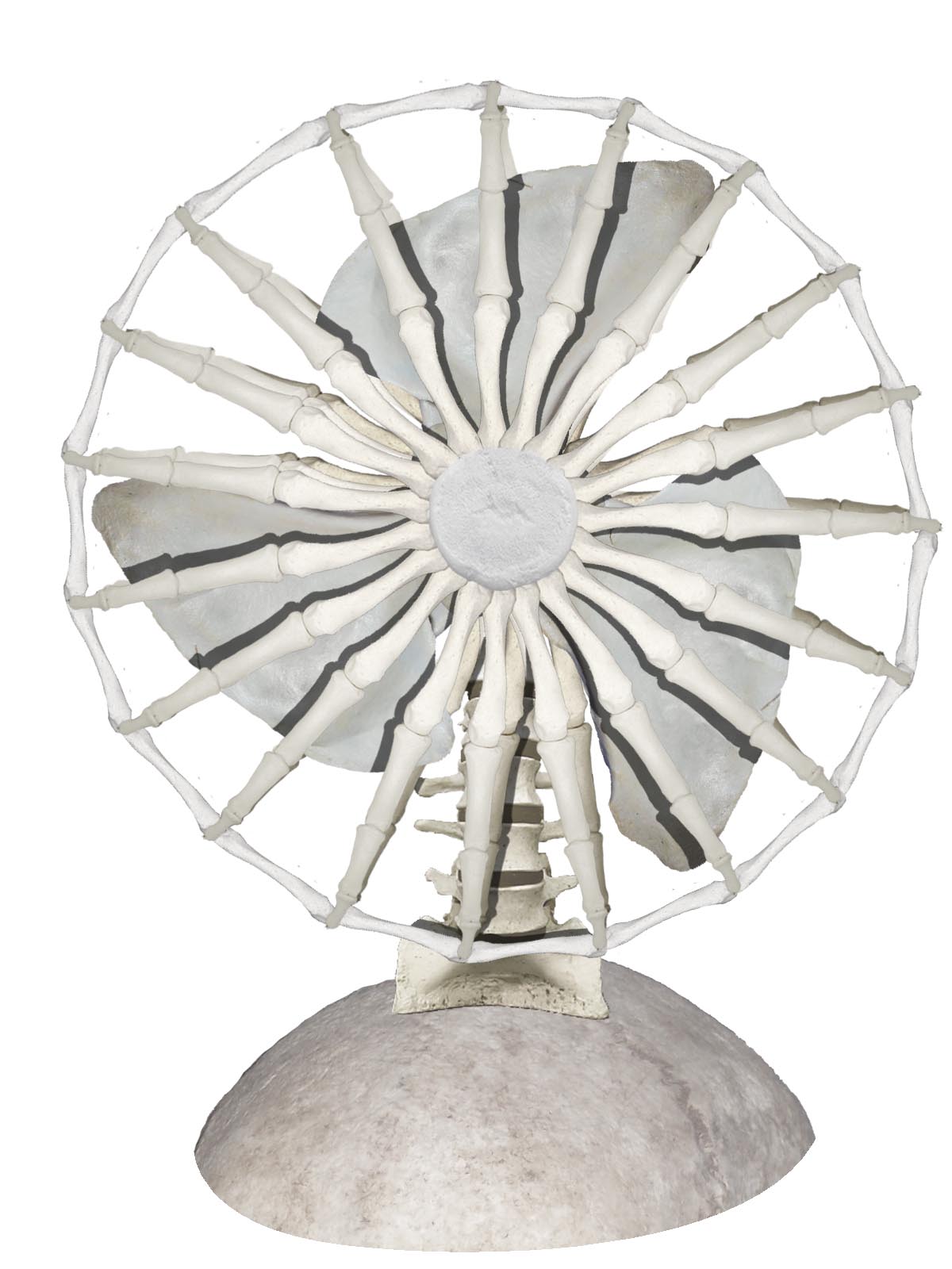 Diseño de Photoshop por azuritko para DesignCrowd (Community Contests) | Diseño #9009092