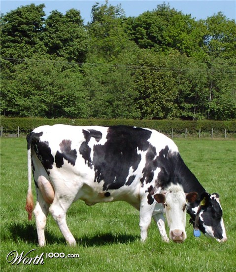 Photoshop Design by aff1993