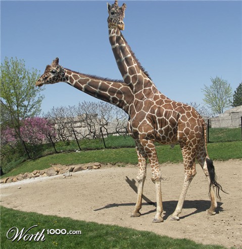 Photoshop Design by Lsgenie