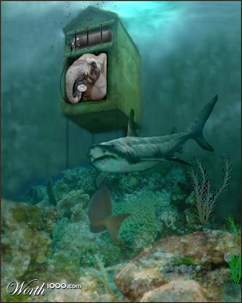 Photoshop Design by LadyHawk771