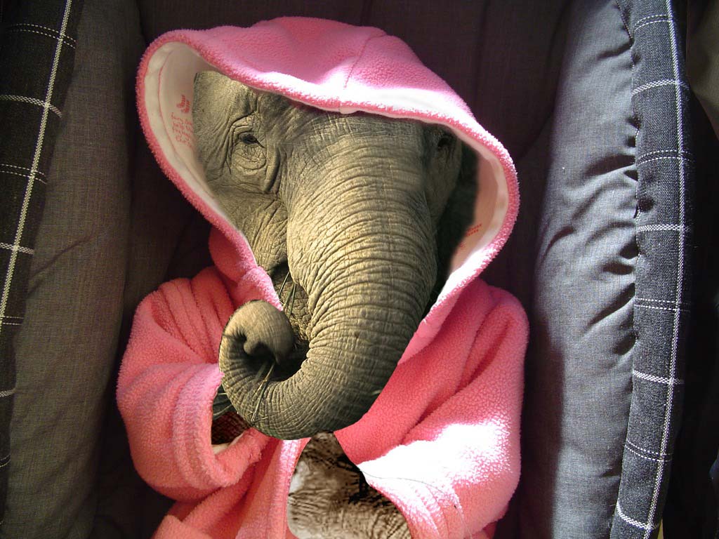 Photoshop Design by wolverine for DesignCrowd (Community Contests) | Design #9010801