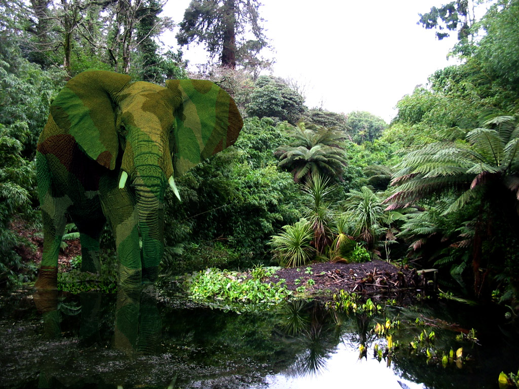 Photoshop Design by Rogue25 for DesignCrowd (Community Contests) | Design #9010807