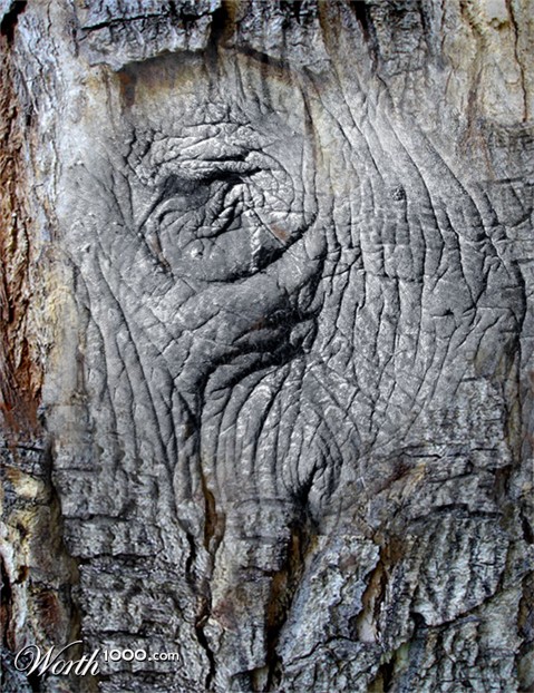 Photoshop Design by Lacenflanl