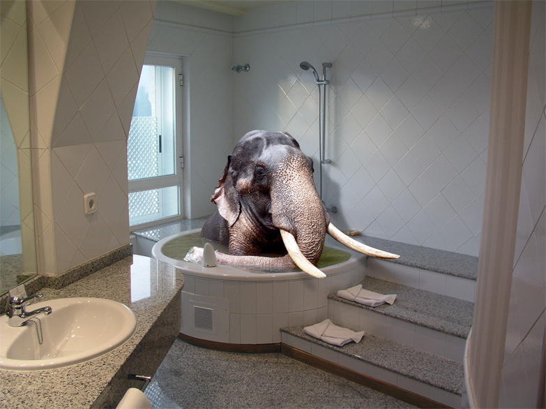 Photoshop Design by resquin for DesignCrowd (Community Contests) | Design #9010844