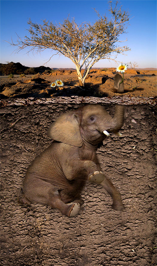 Photoshop Design by ThreeProngs for DesignCrowd (Community Contests) | Design #9010875