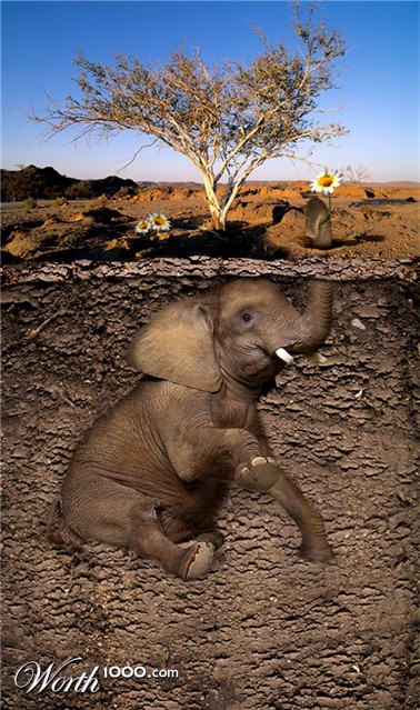 Photoshop Design by ThreeProngs