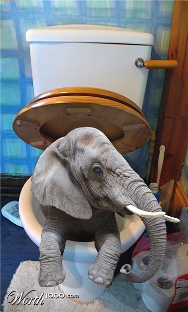 Photoshop Design by mzpresto