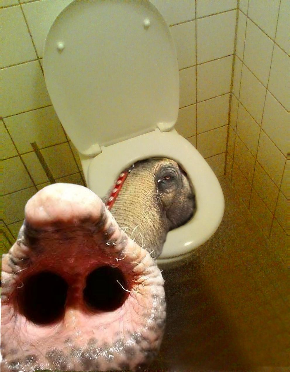 Photoshop Design by wyrik22 for DesignCrowd (Community Contests) | Design #9010902