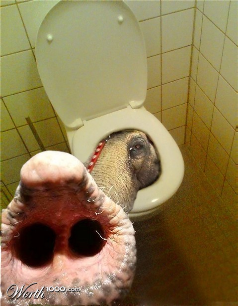 Photoshop Design by wyrik22