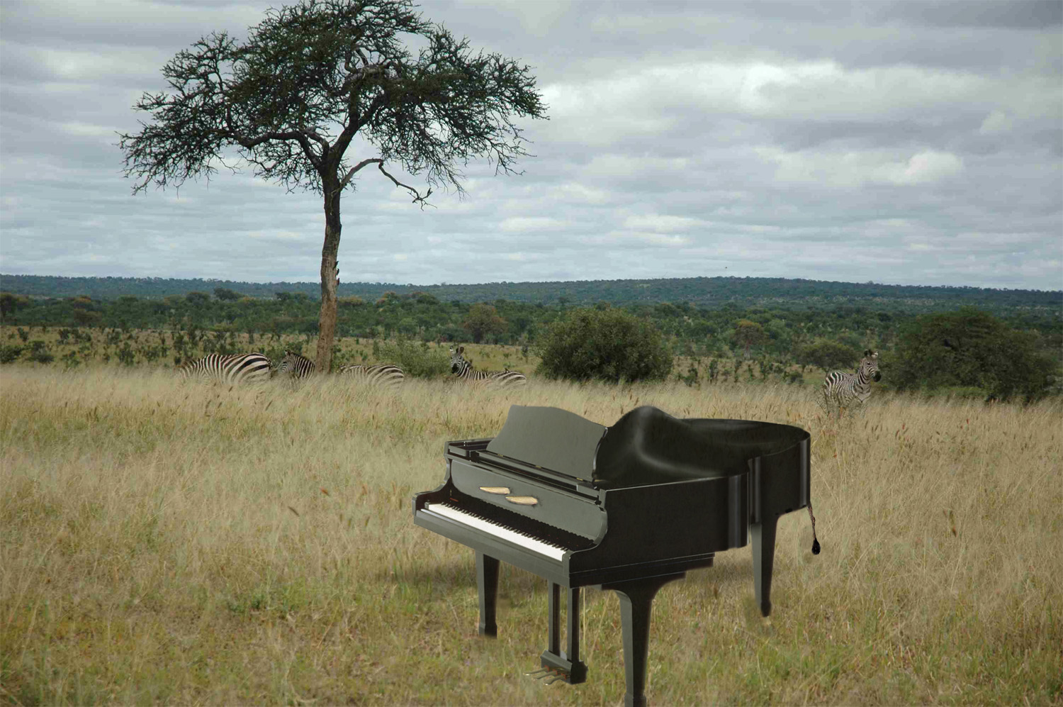 Photoshop Design by chilosa for DesignCrowd (Community Contests) | Design #9010871