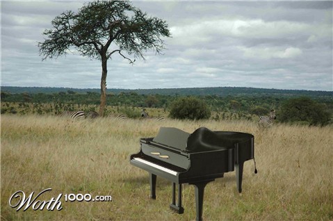 Photoshop Design by chilosa