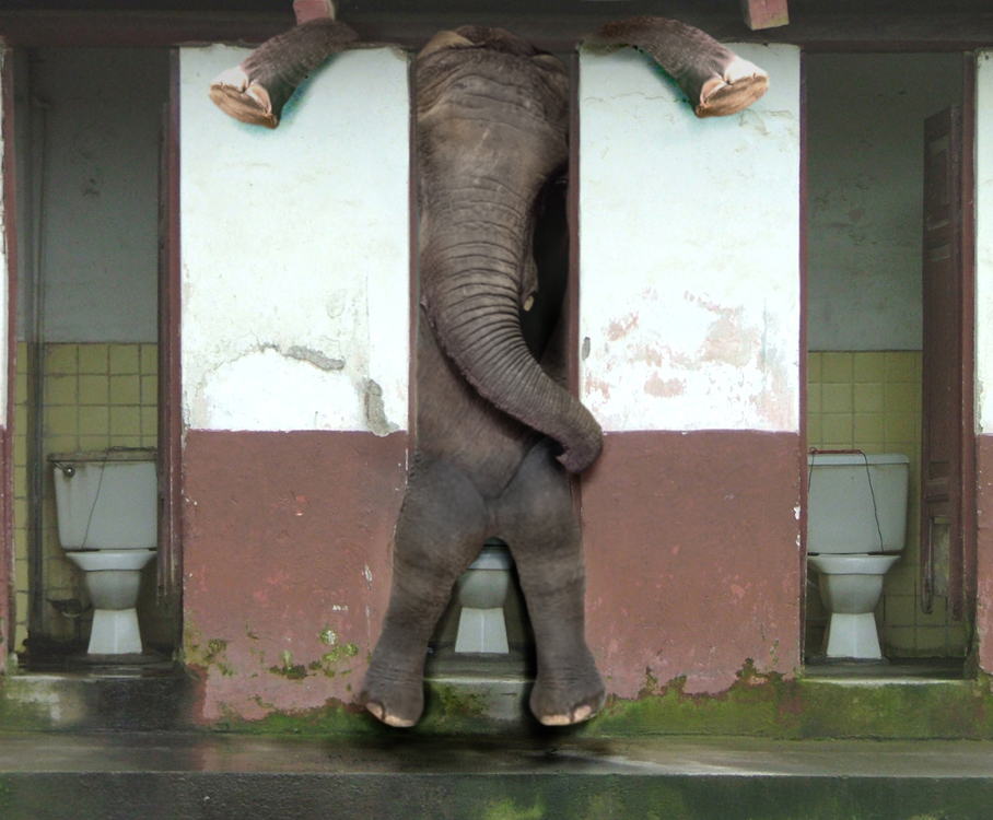 Photoshop Design by MataleoneRJ for DesignCrowd (Community Contests) | Design #9010854