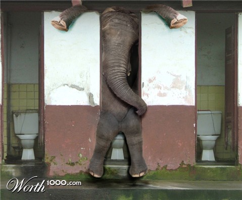 Photoshop Design by MataleoneRJ