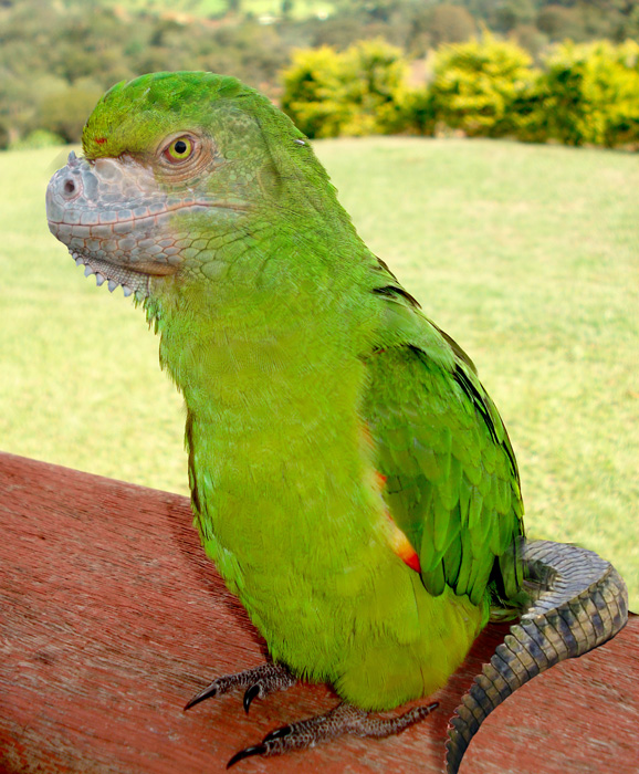 Photoshop Design by mattbyng for DesignCrowd (Community Contests) | Design #9014264