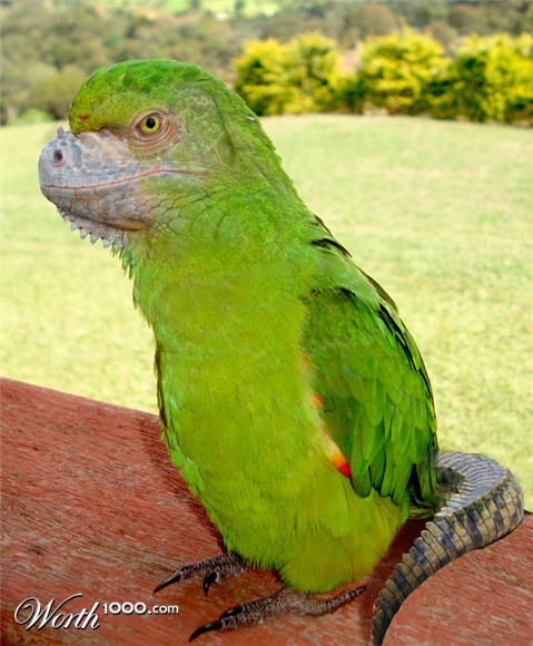 Photoshop Design by mattbyng