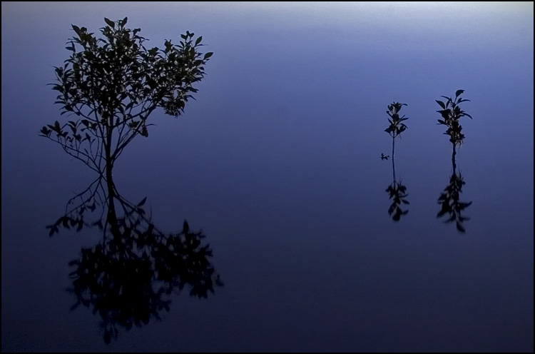 Photographie par mated1976 pour DesignCrowd (Community Contests) | Design #9011316