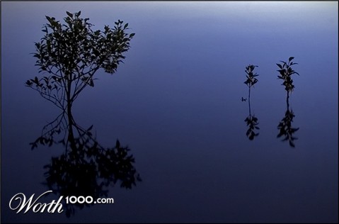 Photography by mated1976