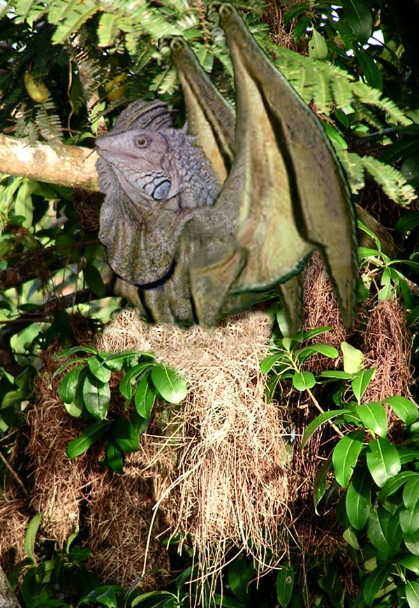 Design Photoshop par LadyHawk771 pour DesignCrowd (Community Contests) | Design #9014286