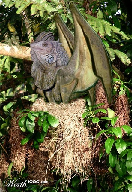 Photoshop Design by LadyHawk771