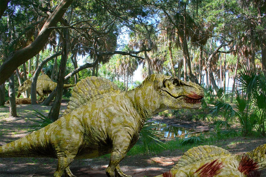 Photoshop Design by pdoggdizzle for DesignCrowd (Community Contests) | Design #9014283