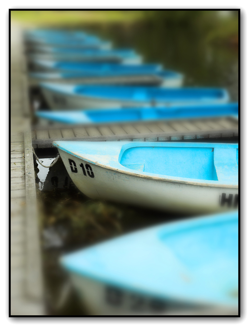 Photography by kimbomac for DesignCrowd (Community Contests) | Design #9009023