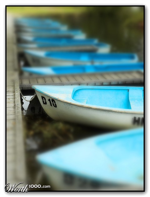 Photography by kimbomac