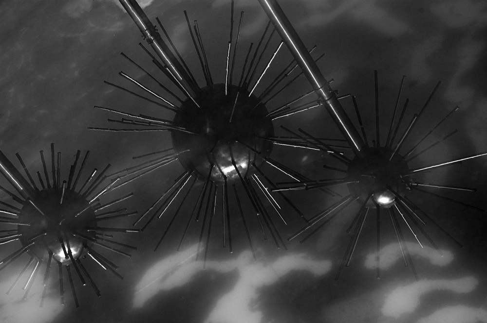 Photography by Luciusseian for DesignCrowd (Community Contests) | Design #9011330