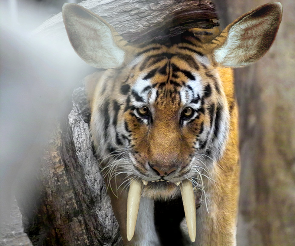 Design Photoshop par Lacenflanl pour DesignCrowd (Community Contests) | Design #9014279