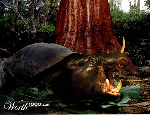 Photoshop Design by rastafaya