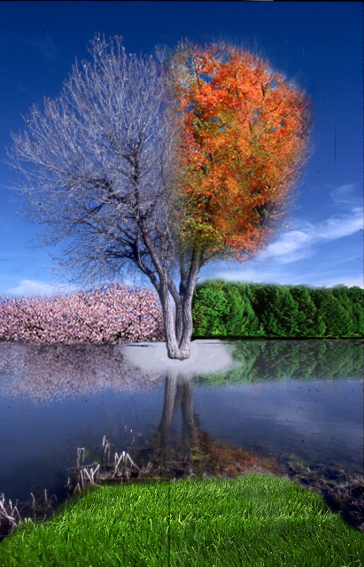 Photoshop Design by PeterAAAWelch for DesignCrowd (Community Contests) | Design #9009028