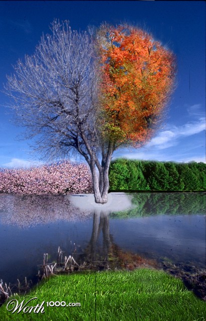 Photoshop Design by PeterAAAWelch