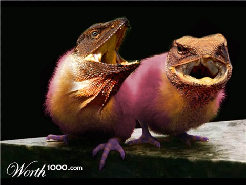 Photoshop Design by superduperman