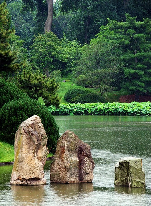 Photographie par timpeeler37 pour DesignCrowd (Community Contests) | Design #9011381