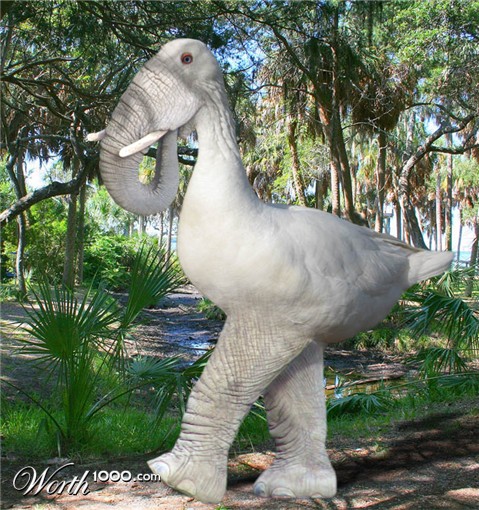 Photoshop Design by nome63