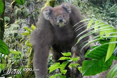 Photoshop Design by lordgilamesh