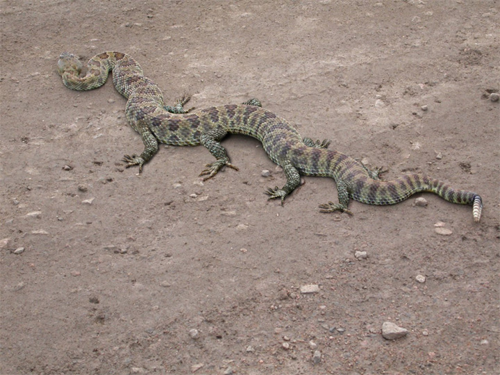 Photoshop-Design von Schwemkd für DesignCrowd (Community Contests) | Design #9014312