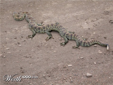 Photoshop Design by Schwemkd